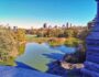 foliage New York central Park