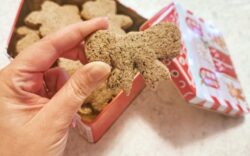 biscotti di natale senza glutine