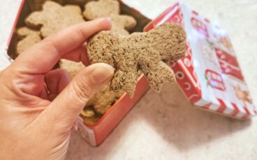 biscotti di natale senza glutine
