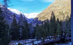 Gressoney saint jean castel savoia