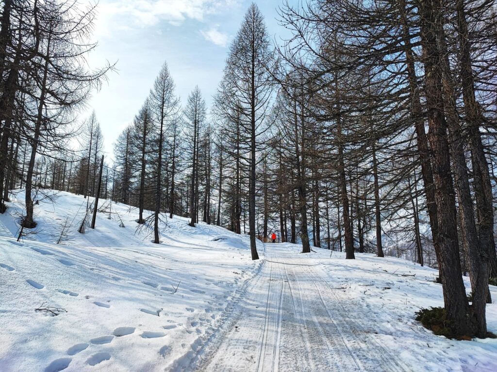 Valtournanche Cervinia