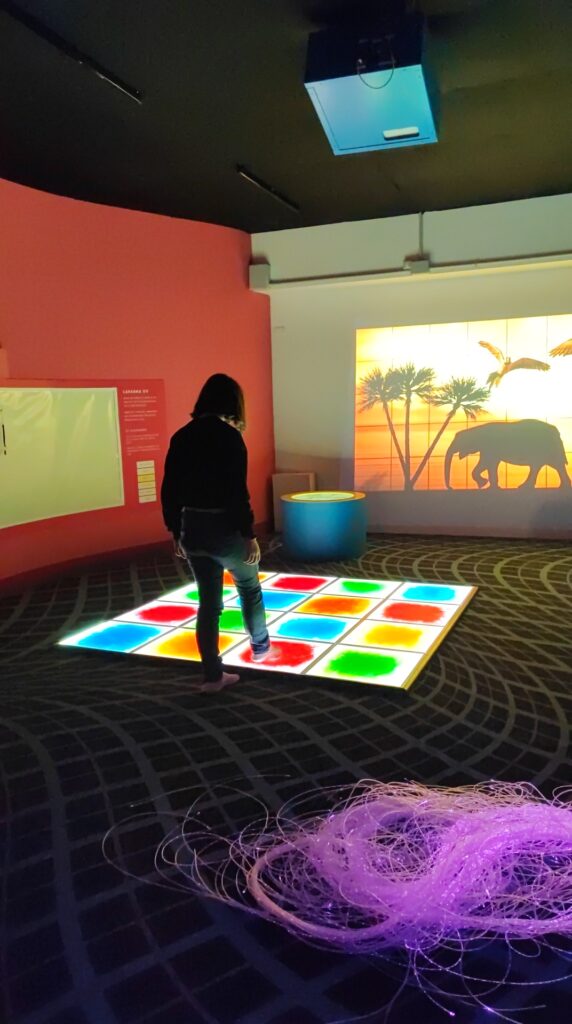 Children's museum verona