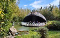 Parco di Pinocchio Balena