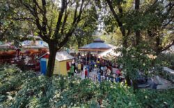 Parco di Pinocchio giostre storiche