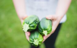 ricette zucchine