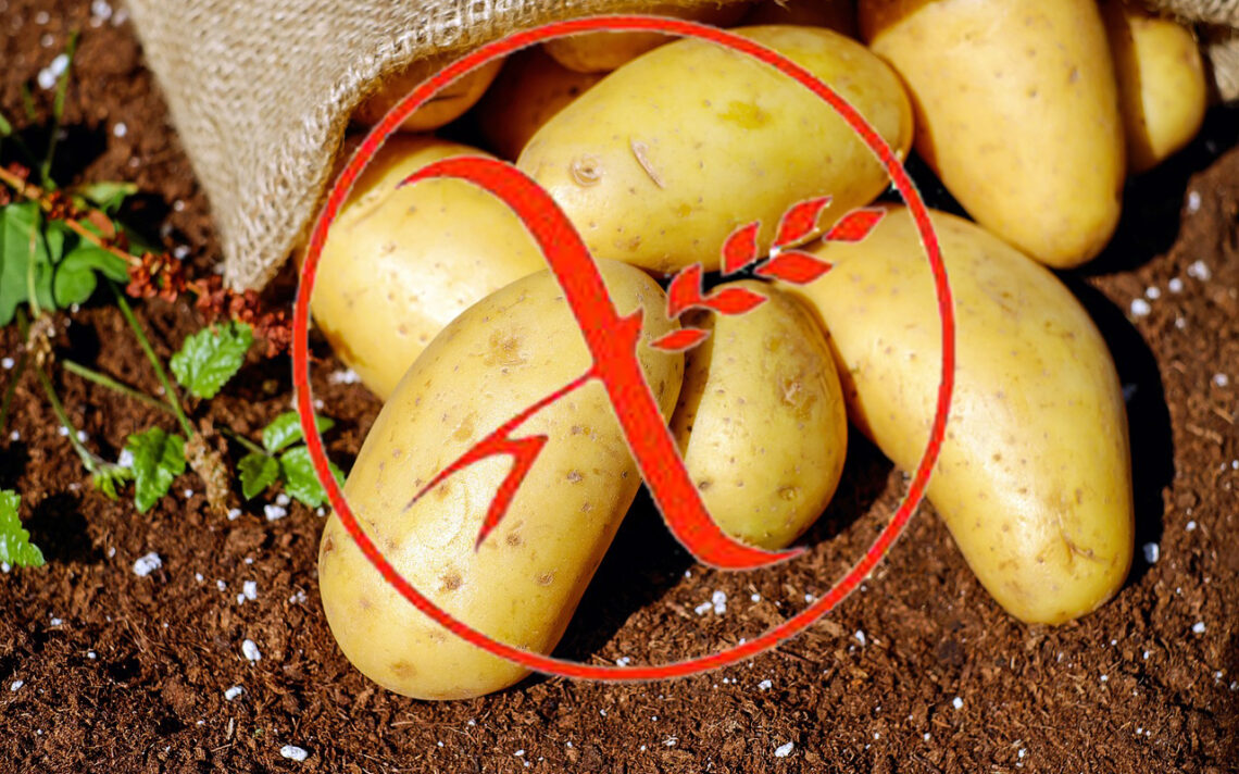 patate senza glutine