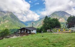 Alpe campo di rimasco