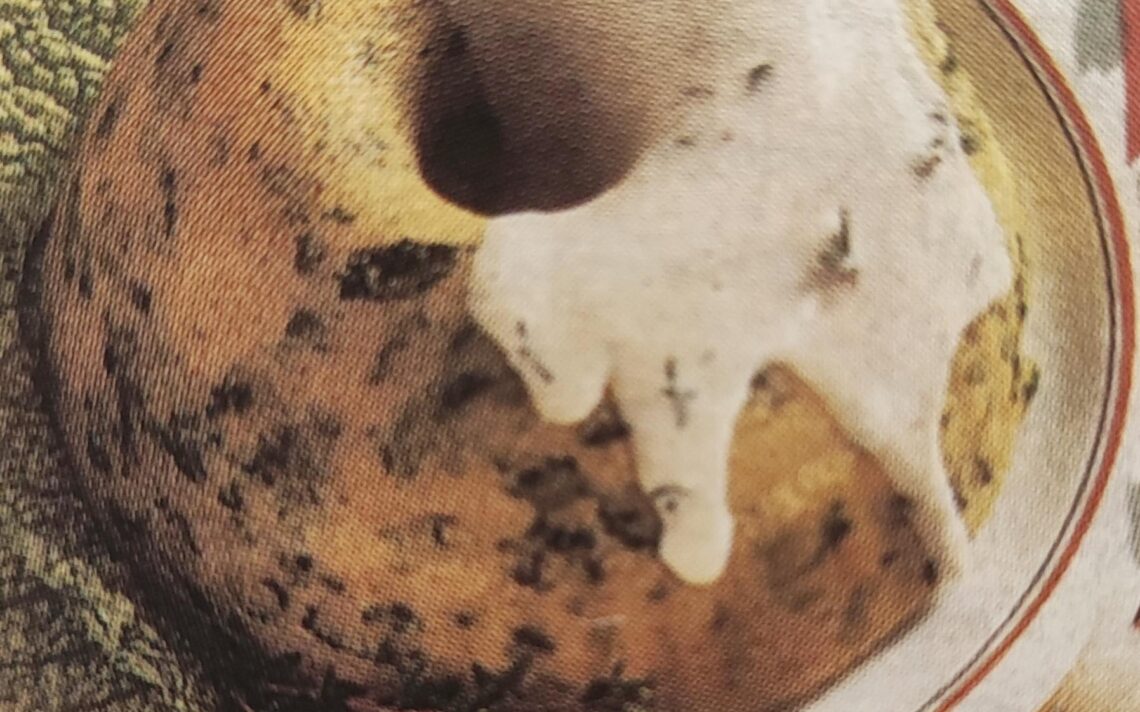 Sformato di polenta e spinaci