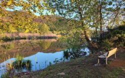 Torbiere del Sebino panorama