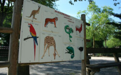 Parchi friuli venezia giulia Parco Zoo Punta Verde