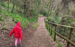 passeggiate veneto con bambini