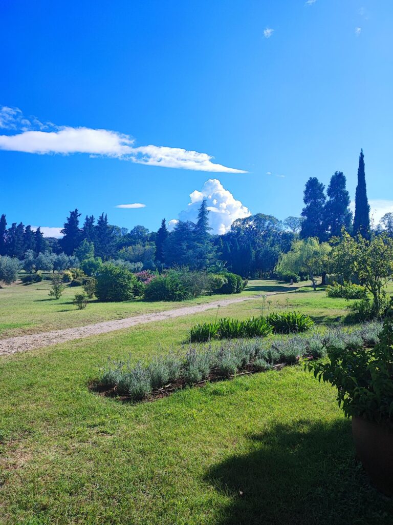 Isole Brioni Croazia giardino