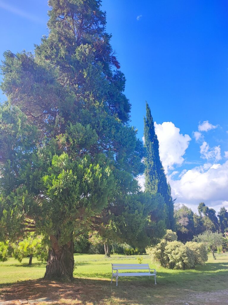 Isole Brioni giardino