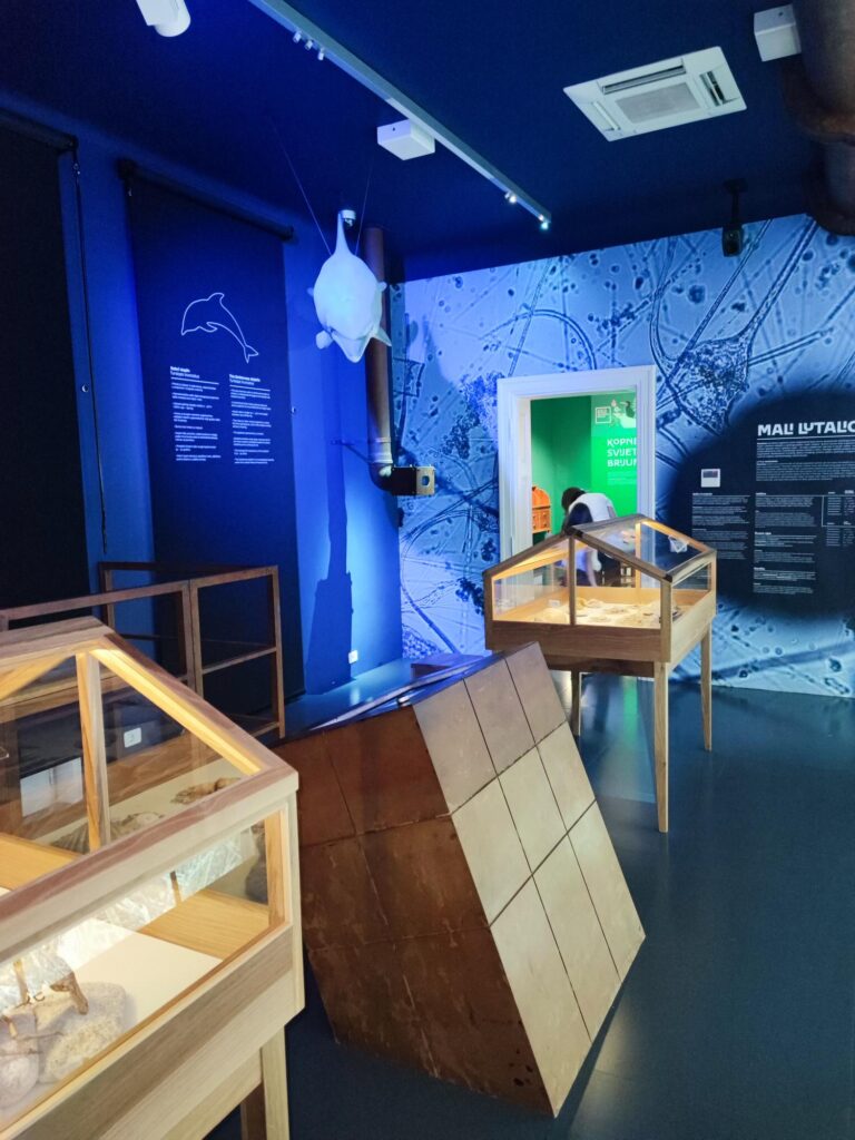Isole Brioni in Croazia museo
