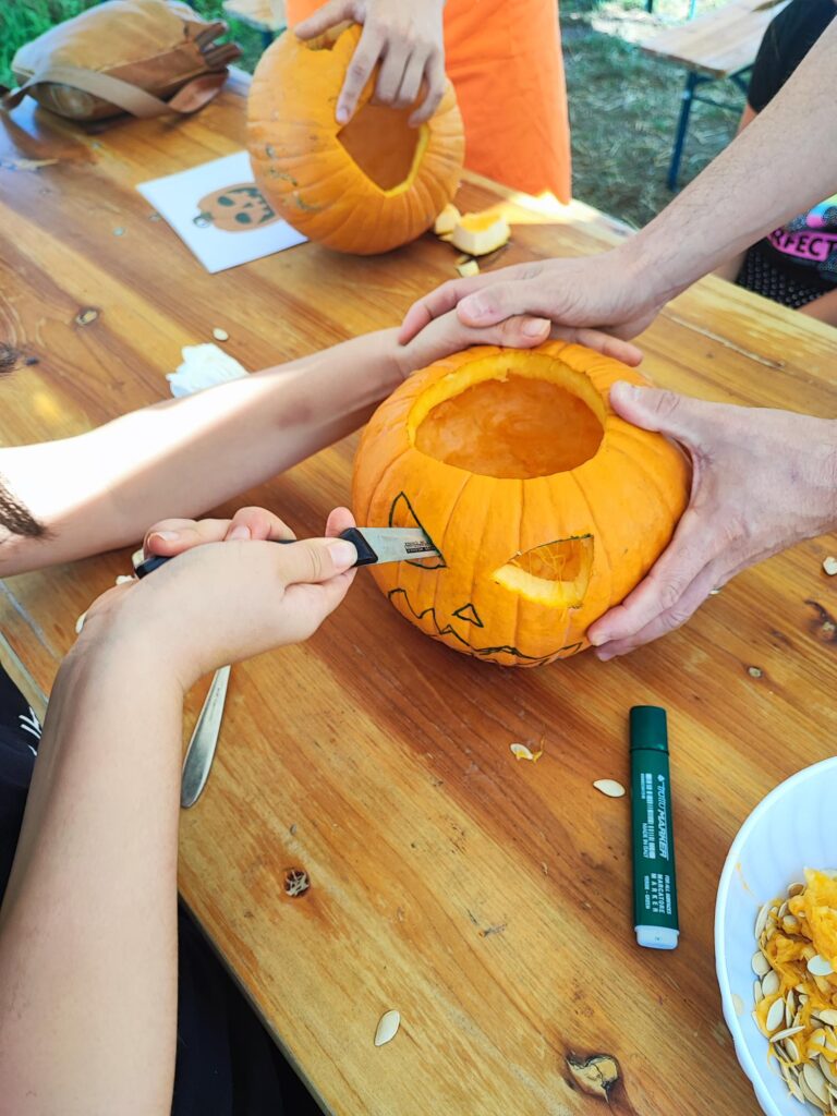 agricola delle meraviglie laboratorio