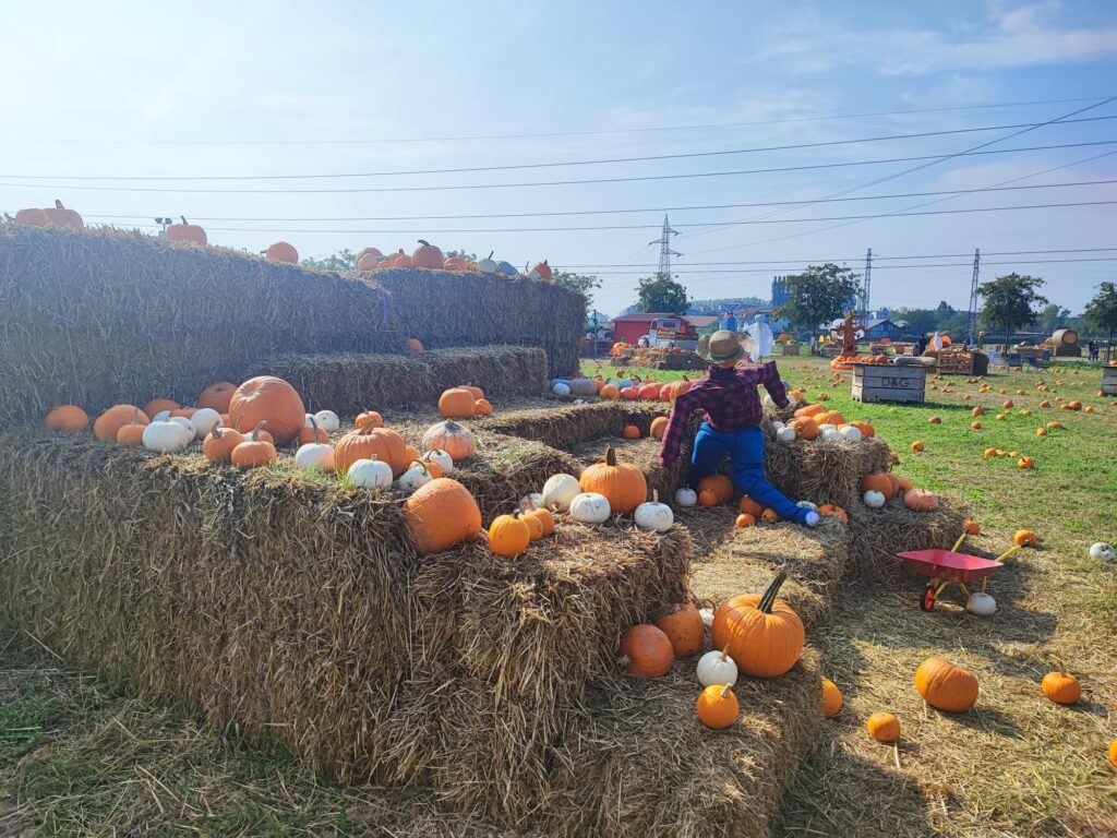 agricola delle meraviglie vimodrone