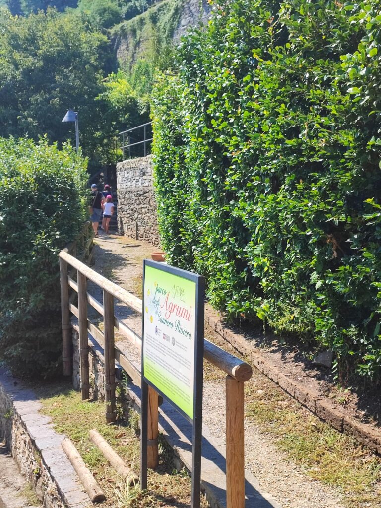 cannero riviera parco degli agrumi