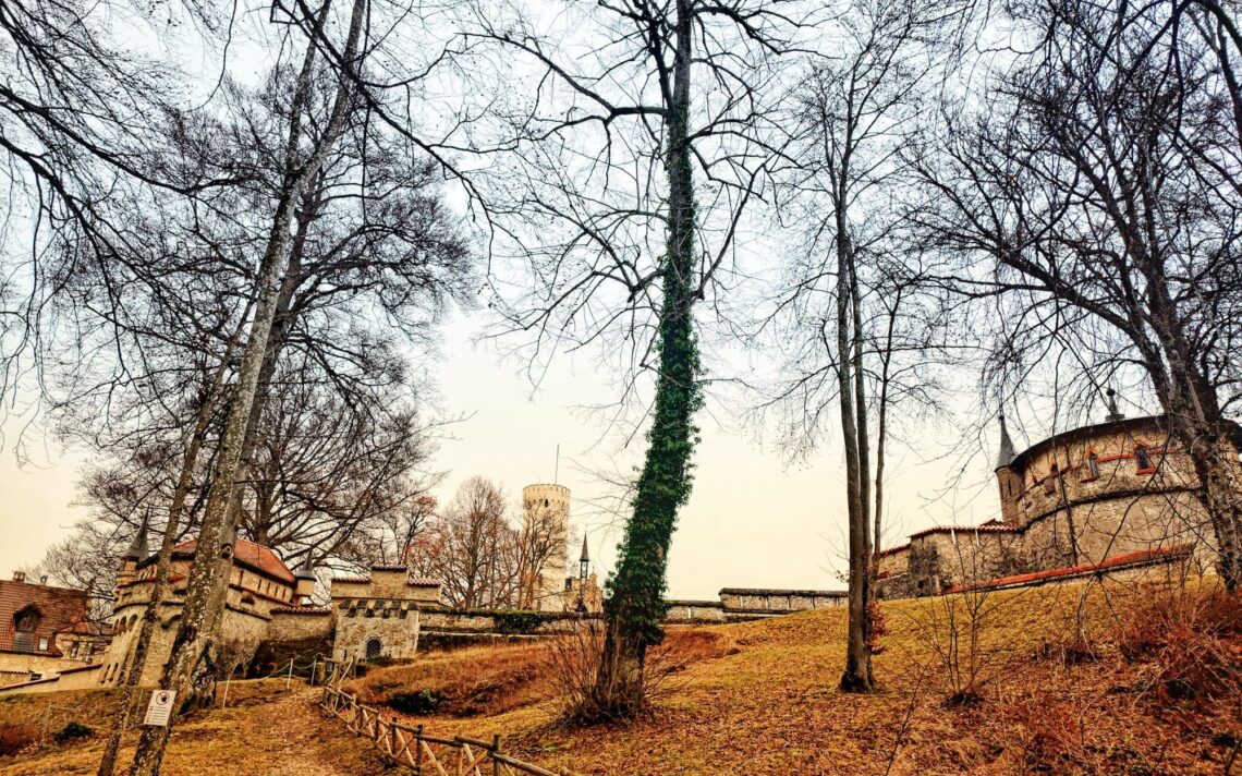Foresta Nera