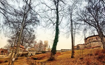 Foresta Nera