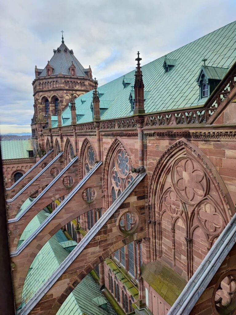 Strasburgo cattedrale