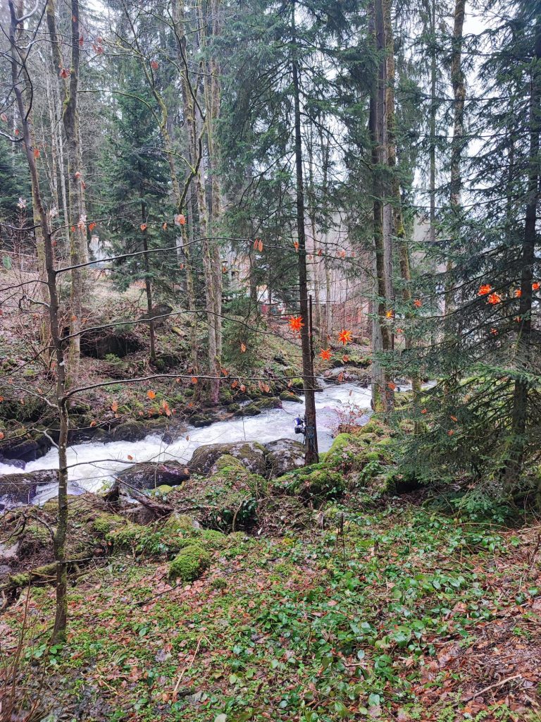 Cascate di Triberg