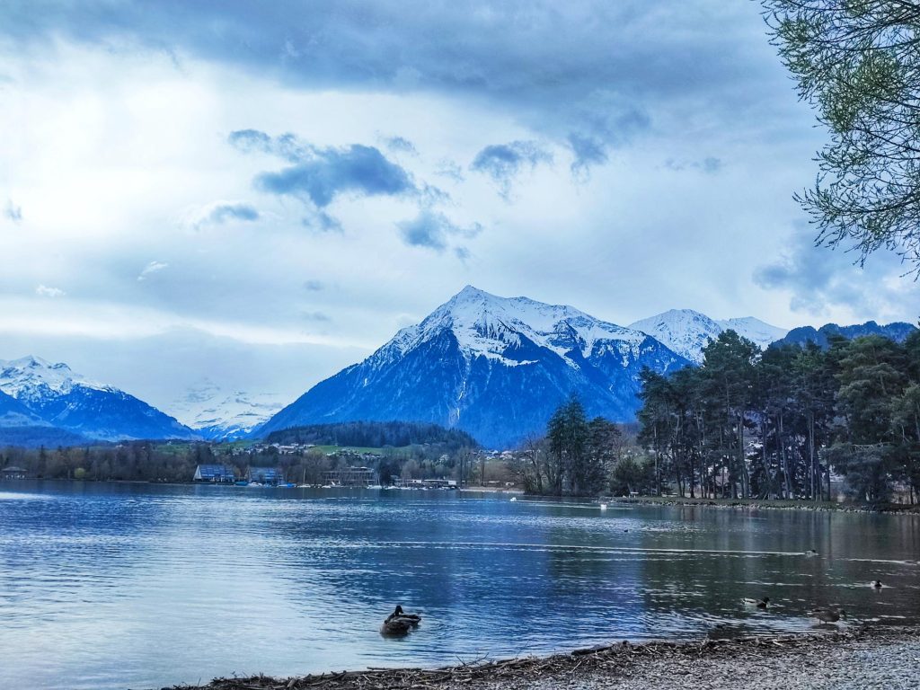 Lago di Thun paesaggio