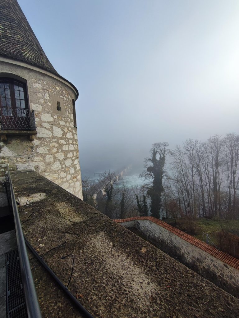 Castello di Laufen Cascate del reno