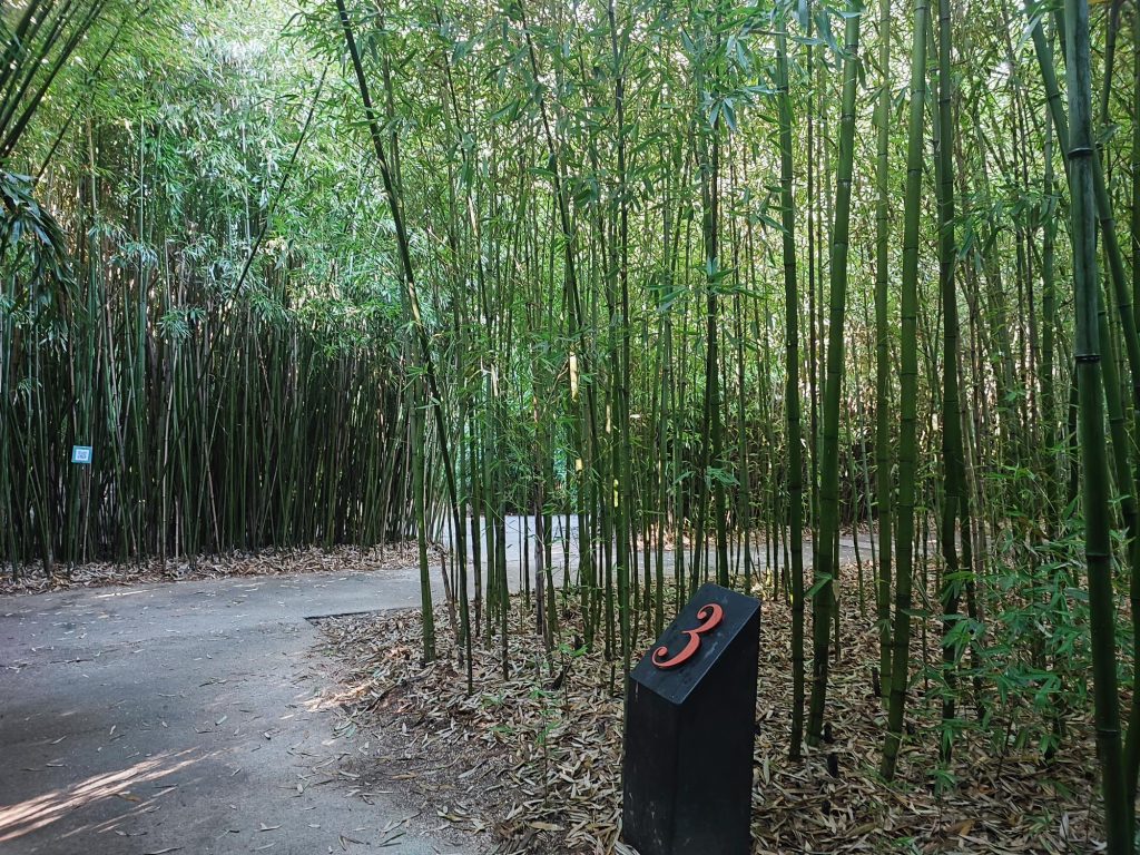 Labirinto della Masone