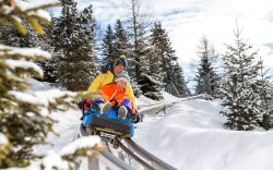 1838_Predazzo_alpine_coaster_Ph.Val.di.fiemme