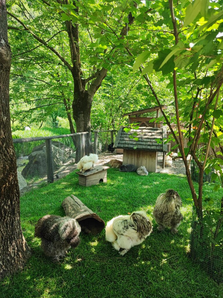 Giardini Trauttmansdorff animali