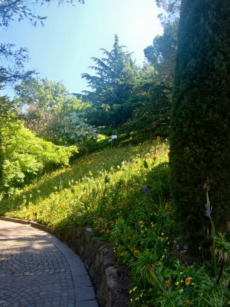 Giardini Trauttmansdorff prato fiorito