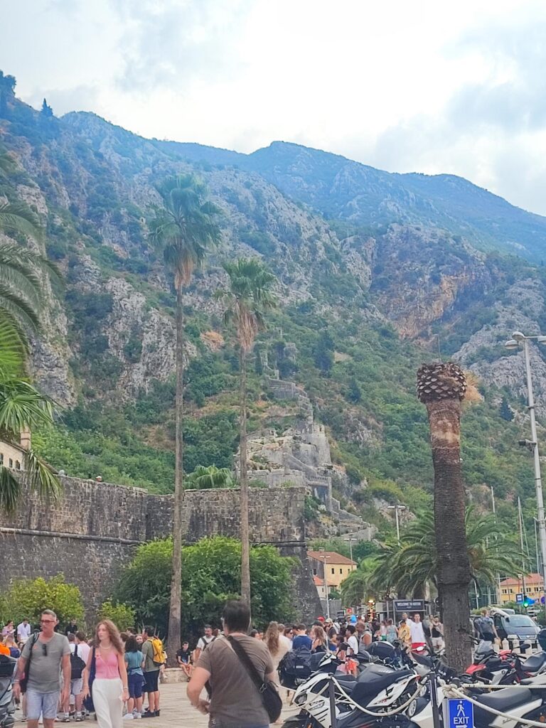 Kotor Mura