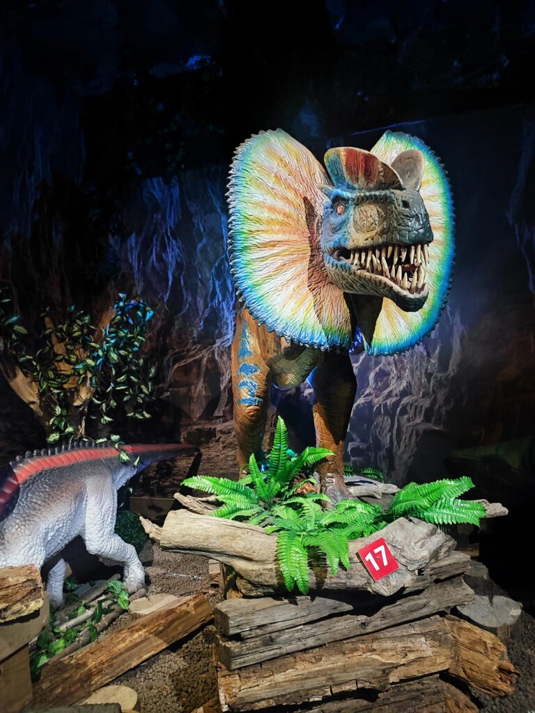 Dinoland Tirolland