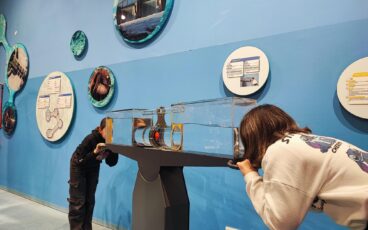 Haus der Natur acqua