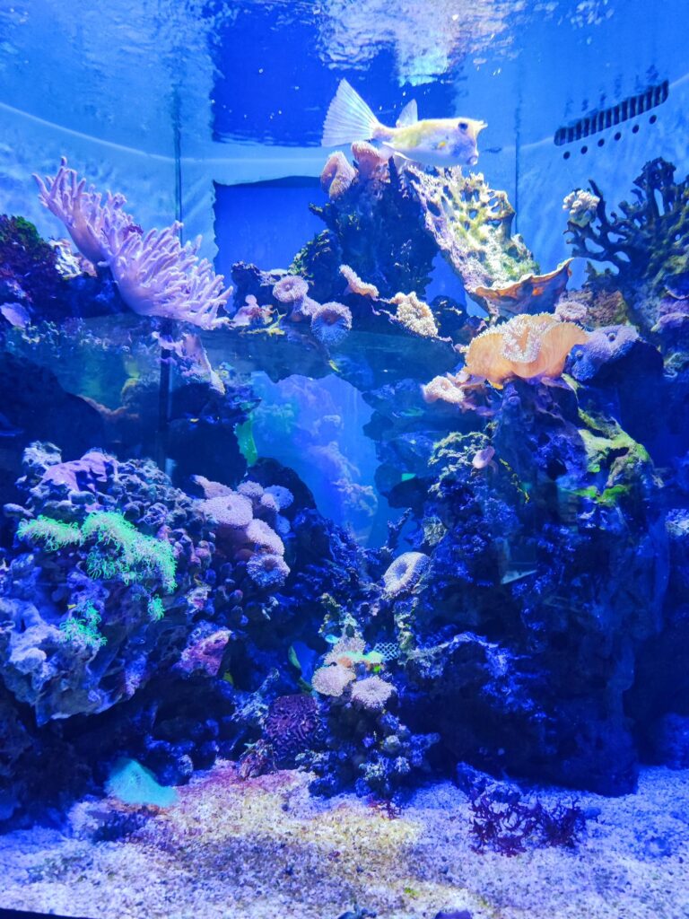Haus der Natur acquario