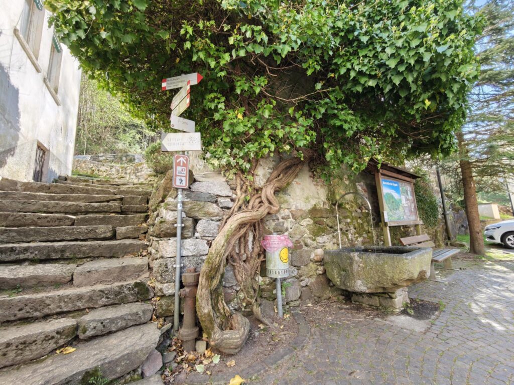 Parco Archeologico Botanico e incisioni rupestri