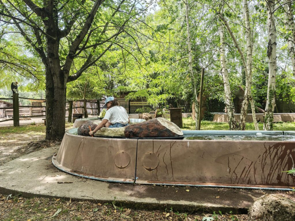 Cowboyland canoe