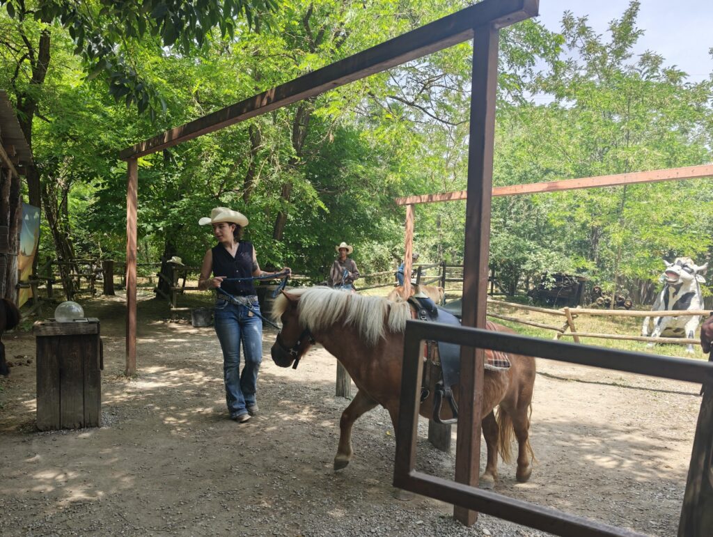 Cowboyland pony