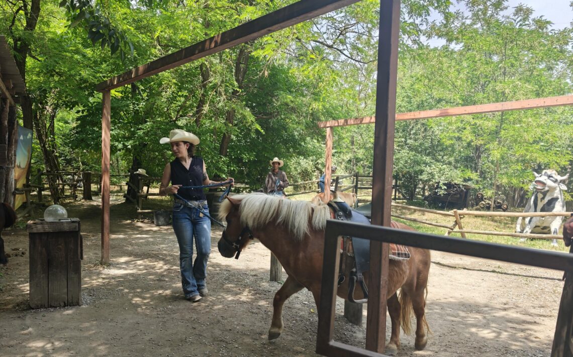 Cowboyland pony