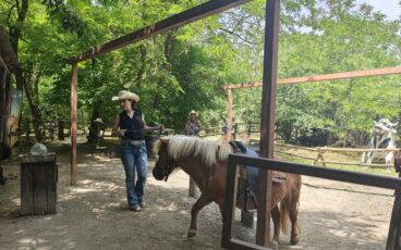 Cowboyland pony