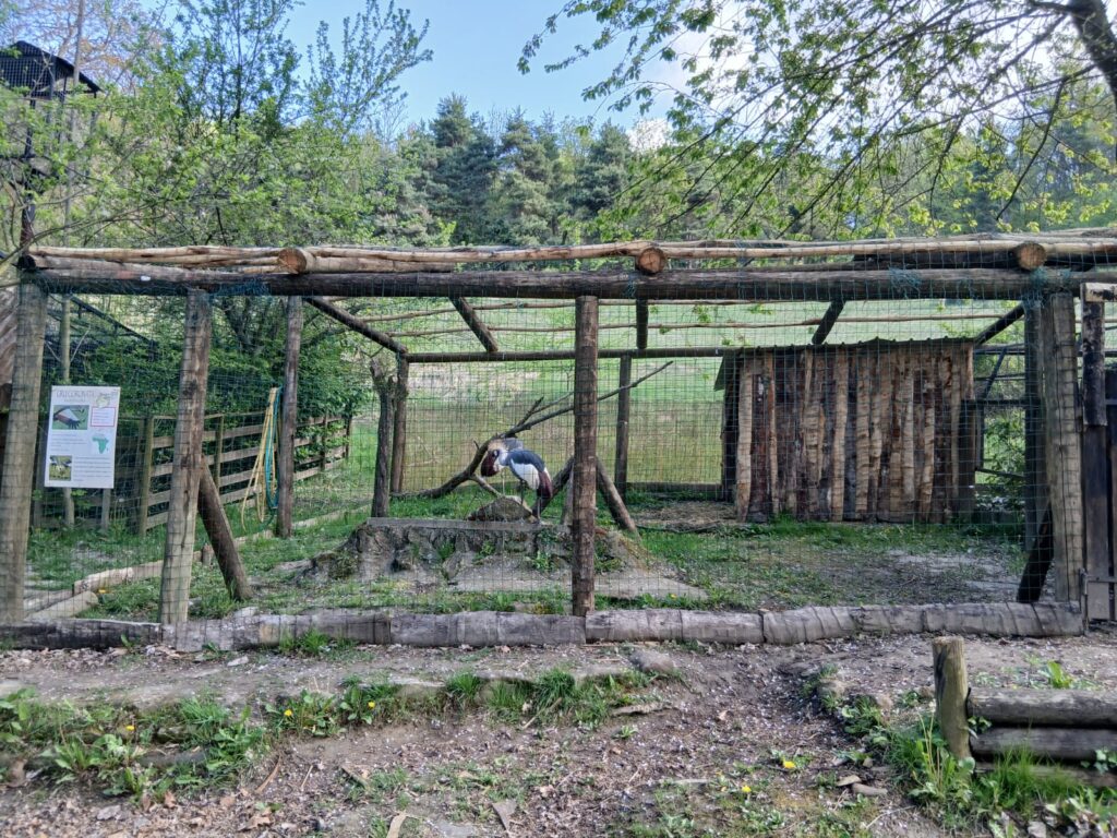 safari delle langhe Voliera