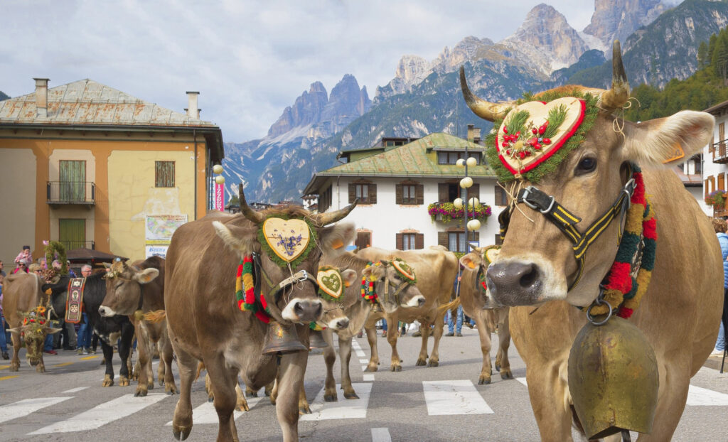 Desmonteada Tre Cime Dolomiti