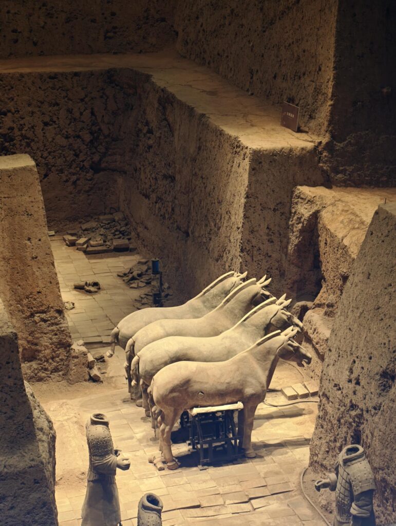 cavalli esercito terracotta